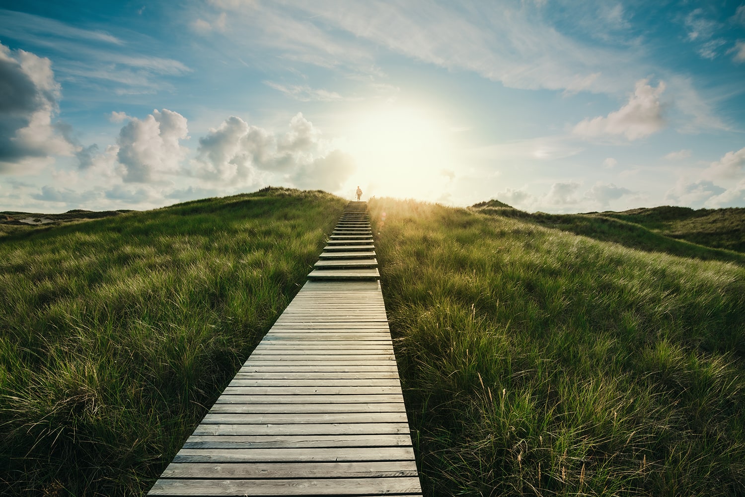 pathway_image pathway_image